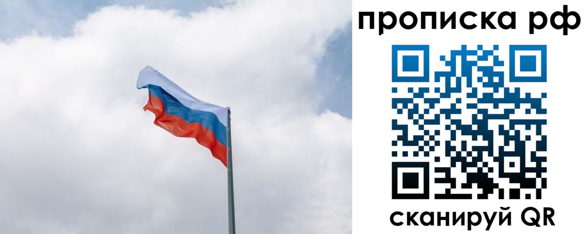 прописка гарантия в Московской области